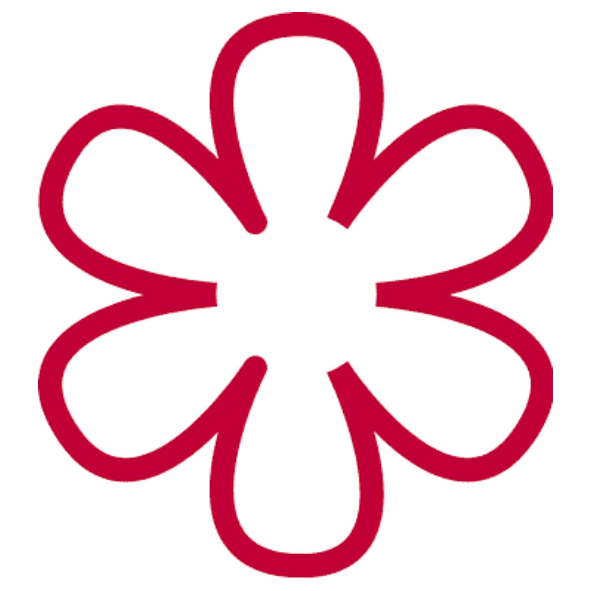 Stella Michelin
